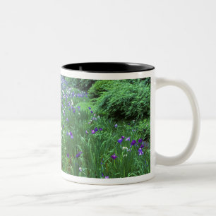 Hana Shobu (Japanse Wateriris), Meiji-schrijn, Tweekleurige Koffiemok