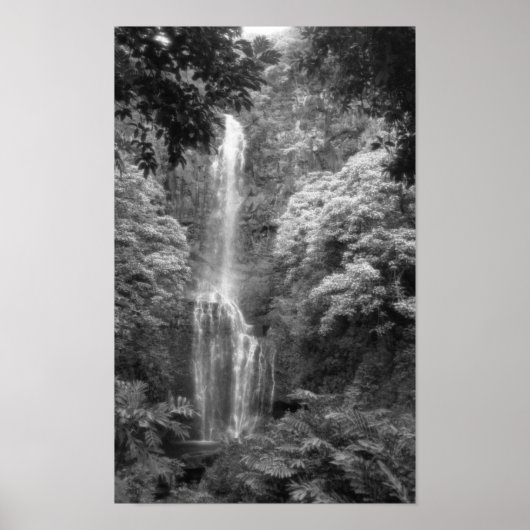 Hana Waterfall Poster (Voorkant)