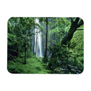 Hanakapiai-Herfsten langs de kust van Na Pali, Kau Magneet