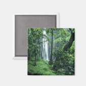 Hanakapiai-Herfsten langs de kust van Na Pali, Kau Magneet (Voorkant / Achterkant)