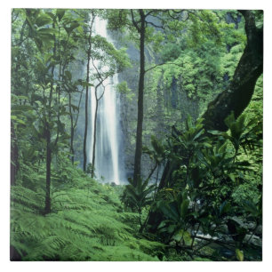 Hanakapiai Herfsten langs de kust van Na Pali, Kau Tegeltje