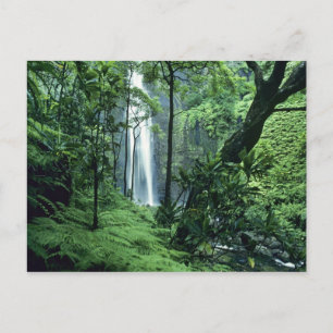 Hanakapiai-waterval langs de Na Pali-kust, Kauai, Briefkaart