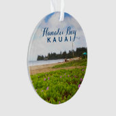 Hanalei Bay Kauai Hawaii 2 Photo (devant)