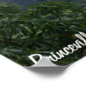 Hanalei Bay Poster (Hoek)