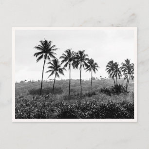 Hanalei Princeville Kauai Hawaii Zwart & Wit Briefkaart