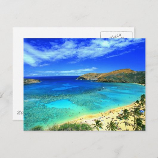 Hanauma Bay Beach Aloha! Briefkaart (Voorkant / Achterkant)