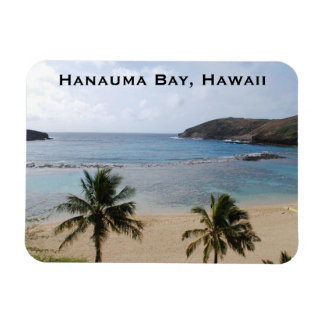 Hanauma Bay Beach, Hawaii magneet
