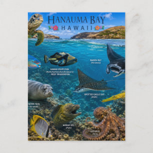 Hanauma Bay Hawaii Briefkaart
