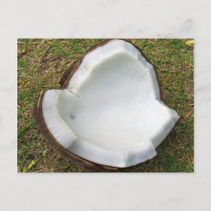 Hanauma Bay Hawaii Coconut Briefkaart