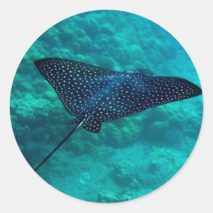 Hanauma Bay Hawaii gepotte Eagle Ray Ronde Sticker