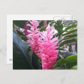 HANAUMA BAY HAWAII - Rode gemberbloem Briefkaart (Voorkant / Achterkant)