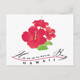 Hanauma Bay Hawaii - Rode Hibiscus Bloem Briefkaart