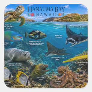 Hanauma Bay Hawaii Vierkante Sticker