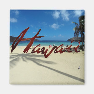 Hanauma Bay Oahu Hawaii Magneet