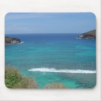 Hanauma Bay, Oahu Muismat