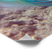 Hanauma Bay Parrot Fish Poster (Hoek)