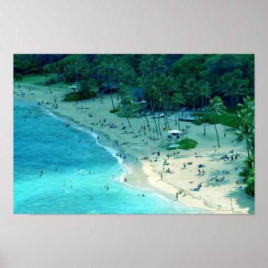 Hanauma Bay Shoreline Poster (Voorkant)