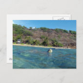 Hanauma Bay Turtle Briefkaart (Voorkant / Achterkant)