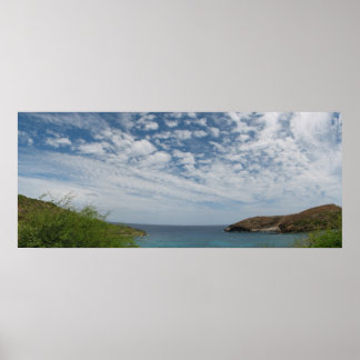 Hanauma Cove Panorama Poster