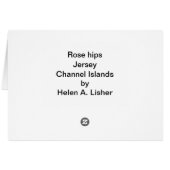 hanches roses, carte Jersey (Dos Horizontal)