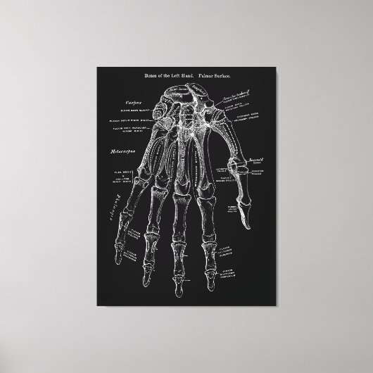 Hand Anatomie Grote Canvas Muur Art 36x48" (Voorkant)