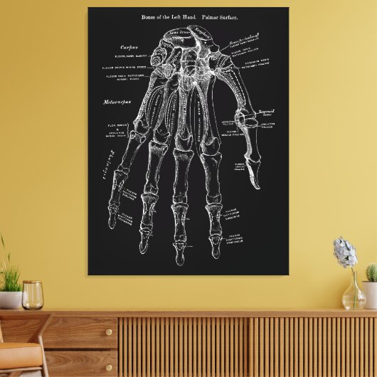 Hand Anatomie Grote Canvas Muur Art 36x48" (Insitu (Woonkamer))