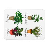 Hand Drawn House Planten Art Magneet (Horizontaal)