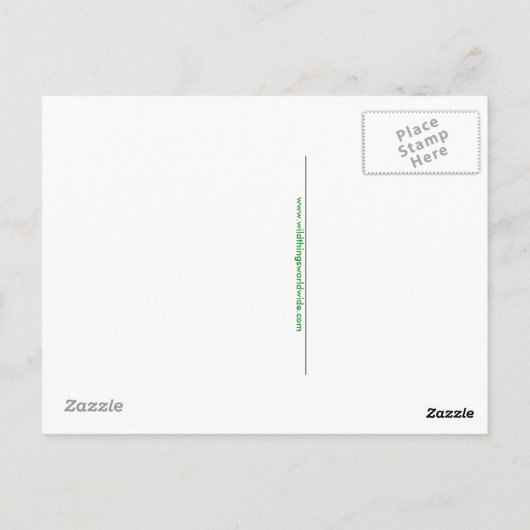 Hand getekend - CROCODILE -Conservation -Reptile- Briefkaart (Achterkant)