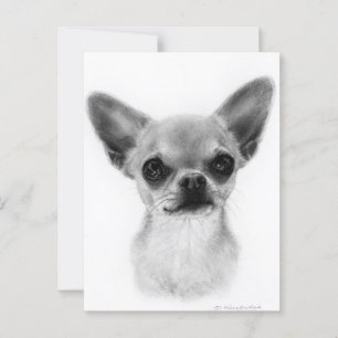 Hand getekend Kortharige Chihuahua - Gentle Expres Briefkaart