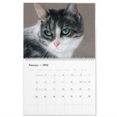 Hand getrokken katten wilde en binnenlandse katach kalender (Feb 2026)