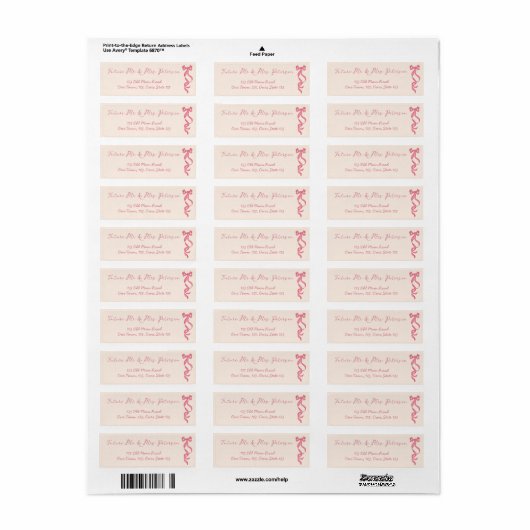 Hand getrokken  retro lint toekomst mr en mrs etiket (Full Sheet)