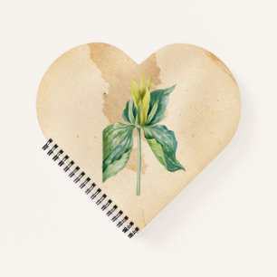 Hand getrokken Wake Robin Notitieboek