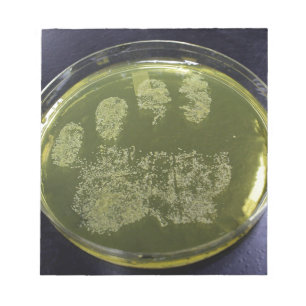 Hand Petri Dish Bacteria Notitieblok