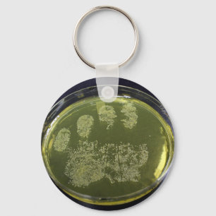 Hand Petri Dish Bacteria Sleutelhanger