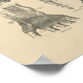  handanatomie 1880 Afdrukken Poster (Hoek)