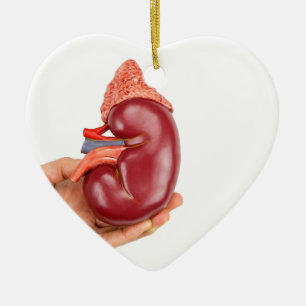 Handbedekking van het niermodel op witte achtergro keramisch ornament