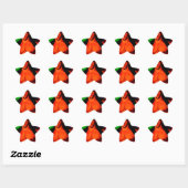 handdoek uit ster sticker (Vel)