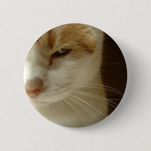 handelende kat ronde button 5,7 cm (Voorkant)