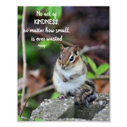 Handelingen van de Kindness Inspirerend Quote Chip Foto Afdruk (Voorkant)