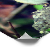 Handelingen van de Kindness Inspirerend Quote Chip Poster (Hoek)