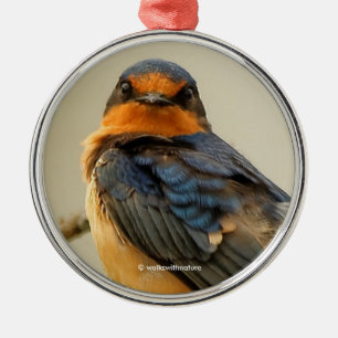 Handelsstadia met een Cute Barn Swallow Songbird Metalen Ornament