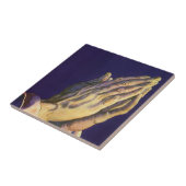  handen die bidden met de ster van Bethlehem Tegeltje (Zijkant)