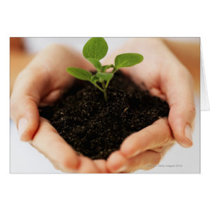 Handen met bemonstering