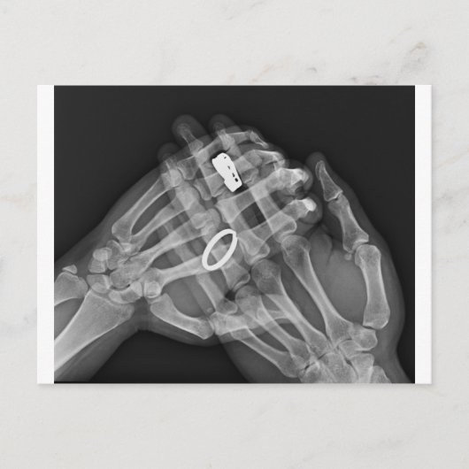 Handenhouderij Briefkaart (Voorkant)