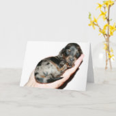 Handful Kaart (Gele Bloem)