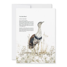 Handgeschilderde bedreigde grote Indiase bustard