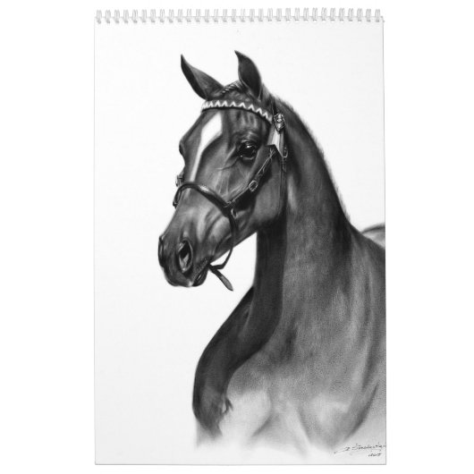 Handgeschilderde paarden kalender (Hoes)