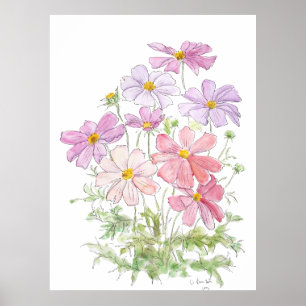 Handgeschilderde paarse en roze kosmos bloemen ink poster