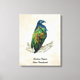 Handgeschilderde Vogelprint op Canvas