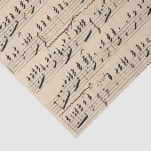  handgeschreven muziek tissuepapier (Detail)